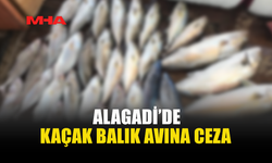 KAÇAK BALIK AVINA 60 BİN TL’Yİ AŞAN CEZA