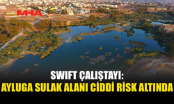SWIFT ÇALIŞTAYI: AYLUGA SULAK ALANI GERİ DÖNÜŞÜ ZOR OLAN TAHRİBATLARLA KARŞI KARŞIYA