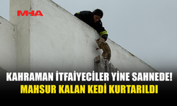 KAHRAMAN İTFAİYECİLER MAHSUR KALAN KEDİYİ KURTARDI
