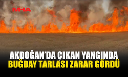 AKDOĞAN'DA BUĞDAY TARLASI ALEVLERE TESLİM OLDU