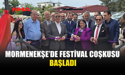 14. MORMENEKŞE ENGİNAR FESTİVALİ BAŞBAKAN ÜSTEL TARAFINDAN AÇILDI
