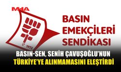 AKADEMİSYEN SENİH ÇAVUŞOĞLU’NA TÜRKİYE’YE GİRİŞ ENGELİ: BASIN-SEN’DEN TEPKİ