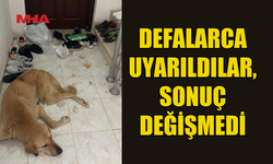 APARTMAN SAKİNLERİNİN SABRI TAŞTI