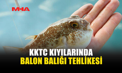 KKTC'DE BALON BALIKLARI SAHİLLERE KADAR İNDİ
