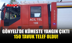 GÖNYELİ'DE KÜMES YANDI: TAVUKLAR TELEF OLDU...