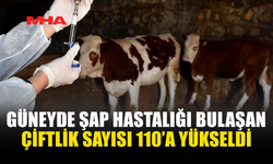 GÜNEYDE ŞAP HASTALIĞI 110 ÇİFTLİĞE ULAŞTI