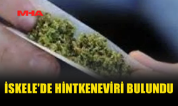 İSKELE'DE EV ARAMASINDA HİNTKENEVİRİ BULUNDU