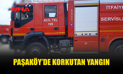 PAŞAKÖY’DE ÇÖPLÜK YANGINI: 50 DÖNÜM ALAN ZARAR GÖRDÜ