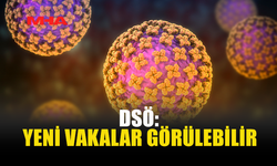 DSÖ’DEN HANTAVİRÜS UYARISI