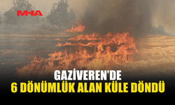 GAZİVEREN’DE TARIM ARAZİSİ YANDI