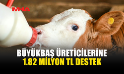 12 ÜRETİCİYE BUZAĞI DESTEĞİ ÖDEMESİ