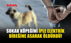 SİPAHİ’DEKİ V*HŞET OLAYINDA ZANLI YAKALANDI