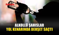 ZİYAMET-KUMYALI YOLUNDA SOPALI DARP: 2 TUTUKLAMA