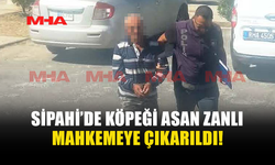 SİPAHİ'DEKİ V*HŞETİN ZANLISI MAHKEMEYE ÇIKARILDI