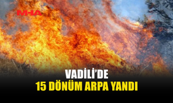 VADİLİ’DE ARAZİ YANGINI: 60 DÖNÜM ALAN ZARAR GÖRDÜ