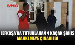 SURLARİÇİ’NDE MUHACERET DENETİMİ: 4 GÖZALTI