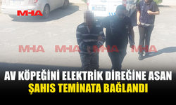 SİPAHİ’DE KÖPEĞİ DİREĞE ASAN ŞAHIS TEMİNATA BAĞLANDI
