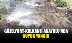GÜZELYURT'TA ÇIKAN YANGINDA 30 DÖNÜMLÜK ALAN KÜL OLDU