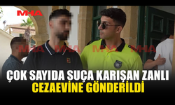 11 AÇIK DOSYASI BULUNAN ZANLI CEZAEVİNE GÖNDERİLDİ
