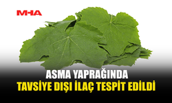 TARIM DAİRESİ GIDA DENETİM RAPORUNU AÇIKLADI