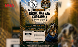 2.GELENEKSEL GİRNE HAYVAN KURTARMA YÜRÜYÜŞÜ PAZAR GÜNÜ DÜZENLENECEK