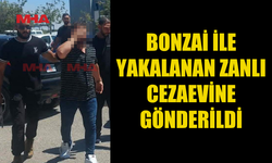 BONZAİ ZANLISI HAPSE GÖNDERİLDİ