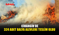 CİHANGİR’DE BALYA YANGINI: 324 BALYA KÜL OLDU