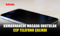 KUMARHANEDE CEP TELEFONU HIRSIZLIĞI: ZANLI TUTUKLANDI
