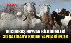 KÜÇÜKBAŞ HAYVAN KAYITLARINDA BİLDİRİM SÜRECİ BAŞLADI
