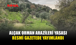 ALÇAK ORMAN ARAZİLERİNİN DEVRİ VE İCARI (DEĞİŞİKLİK) YASASI YÜRÜRLÜĞE GİRDİ
