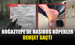 BOĞAZTEPE’DE VATANDAŞA KÖPEK SALDIRDI!