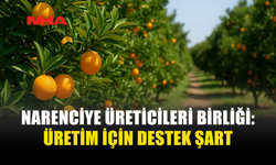 NARENCİYE ÜRETİCİLERİNDEN ÖDEME ÇAĞRISI