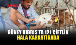 GÜNEY KIBRIS’TA 121 ÇİFTLİKTE KARANTİNA SÜRÜYOR