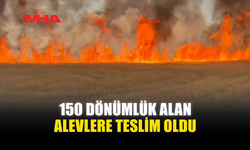TARIM ARAZİSİNDE BÜYÜK YANGIN...