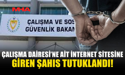 DEVLETİN WEB SİTESİNE GİREN ŞAHIS YAKALANDI