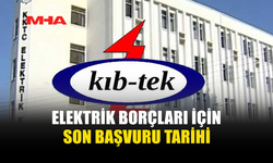 ELEKTRİK BORÇ YAPILANDIRMASINDA SON GÜN