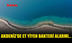 “ET YİYEN BAKTERİ” SAHİLLERDE ALARM YARATTI
