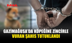 KÖPEĞİNE İŞKENCE ETTİĞİ İDDİASIYLA TUTUKLANDI