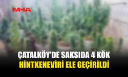 SAKSILARA HİNTKENEVİRİ EKTİ, NARKOTİK SUÇÜSTÜ YAKALADI