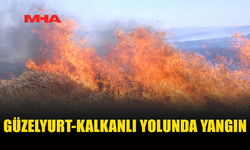 GÜZELYURT-KALKANLI YOLUNDA YANGIN: 12 DÖNÜM ALAN ZARAR GÖRDÜ