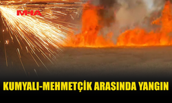 KUMYALI-MEHMETÇİK ARASINDA YANGIN MEYDANA GELDİ