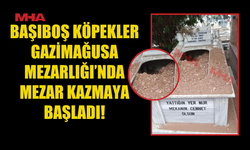 GAZİMAĞUSA'DA BAŞIBOŞ KÖPEKLERDEN MEZARLAR DA NASİBİNİ ALDI