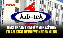 TRAFOYA GİREN YILAN ÇOK SAYIDA BÖLGEDE KESİNTİYE YOL AÇTI