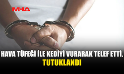 KOZANKÖY'DE KEDİYE ATEŞ EDEN ŞAHIS GÖZALTINA ALINDI