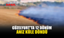 GÜZELYURT'TA TARIM ARAZİSİNDE KORKUTAN YANGIN