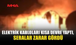 GAZİMAĞUSA'DA SERALAR BÖLGESİ'NDE YANGIN