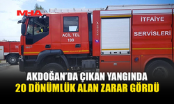 AKDOĞAN’DA ÇIKAN YANGIN 20 DÖNÜM ARAZİYİ KÜLE ÇEVİRDİ