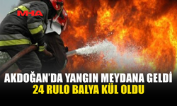 AKDOĞAN’DA YANGIN: 24 RULO BALYA KÜL OLDU