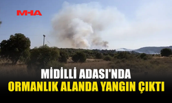 YUNANİSTAN’DA BİR ADA DAHA ALEVLERE TESLİM OLDU