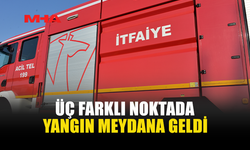 ÜÇ AYRI YERDE ÇIKAN YANGIN ZARARA NEDEN OLDU